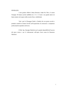 Documento PDF