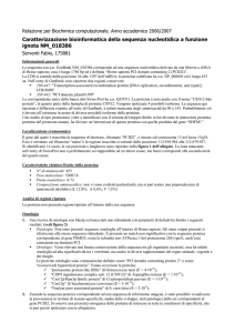 Caratterizzazione bioinformatica della sequenza nucleotidica a