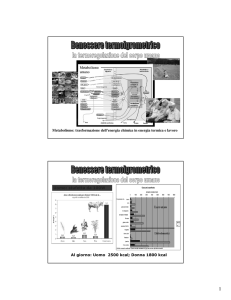 "Benessere termoigrometrico" [PDF 3Mb]