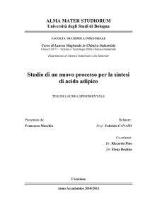 Studio di un nuovo processo per la sintesi di acido adipico