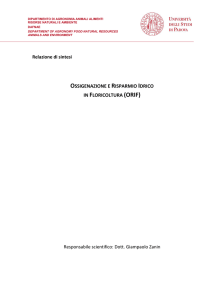 Relazione di sintesi OSSIGENAZIONE E RISPARMIO IDRICO IN