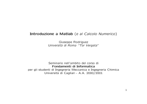 Introduzione a Matlab (e al Calcolo Numerico)