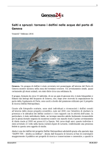 Salti e spruzzi: tornano i delfini nelle acque del porto di Genova