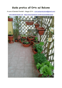 Guida pratica all`Orto sul Balcone