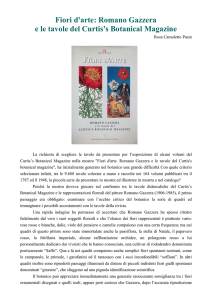 Fiori d`arte: Romano Gazzera e le tavole del Curtis`s Botanical