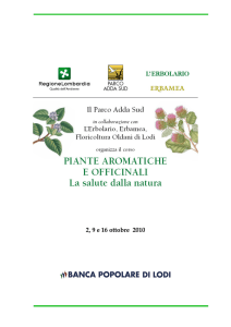 Dispensa piante aromatiche e officinali