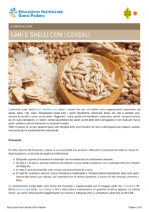 Sani e snelli con i cereali - Educazione Nutrizionale Grana Padano