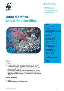 Unità didattica La barriera corallina