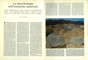 La microbiologia nell`estrazione mineraria