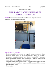 Relazione di Elisa Bielli e Viviana Bosello 3 G 9/11/2015