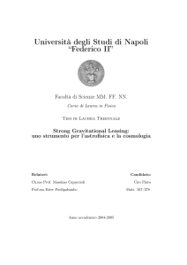 Università degli Studi di Napoli “Federico II” - Cambridge X