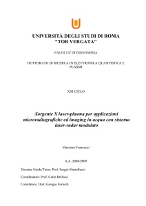 Francucci-tesi dottorato-XXI ciclo - ART