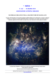 Materiale organico nella Grande Nube di Magellano