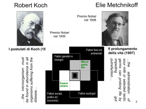 Elie Metchnikoff Robert Koch