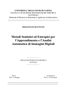 Metodi Statistici ed Entropici per l`Apprendimento e l`Analisi