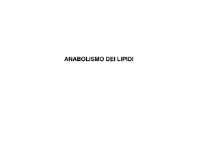 14. Anabolismo dei lipidi