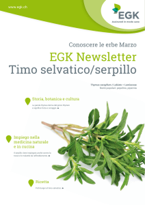EGK Newsletter Timo selvatico/serpillo