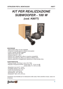 kit per realizzazione subwoofer - 100 w