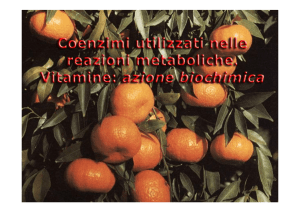 Vitamine Idrosolubili