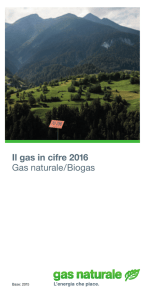 Il gas in Gas natu Il gas in cifre 2016 Gas naturale/Biogas