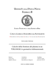 Calcolo della frontiera del plasma in un TOKAMAK in