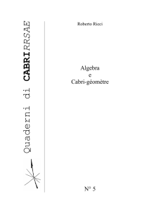 Quaderni di Cabrirrsae 5 - Dipartimento di Matematica e Informatica