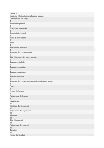 INDICE Capitolo 1 Introduzione al corpo umano Comunicare sul