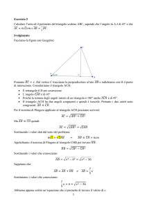 Esercizio 5 Calcolare l`area ed il perimetro del triangolo scaleno