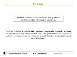 C.2 Biomassa - Università degli Studi di Roma "Tor Vergata"