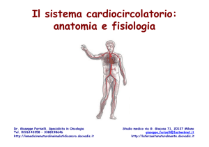 Il sistema cardiocircolatorio: anatomia e fisiologia