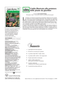 Guida illustrata alla potatura delle piante da giardino