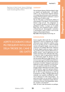 Aspetti ecografici delle più frequenti patologie della tiroide