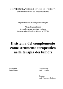 tesi 21-2