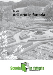 La via dell`orto in fattoria