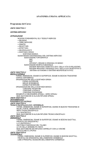 anatomia umana applicata