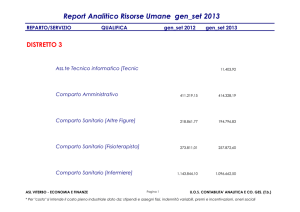 Report Analitico Risorse Umane gen_set 2013