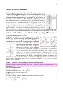 Calcolo del campo magnetico - web