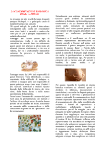 2011 05 18 Articolo 5 CSA La contaminazione biologica degli alimenti