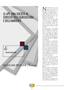 1 - Consiglio Regionale della Basilicata