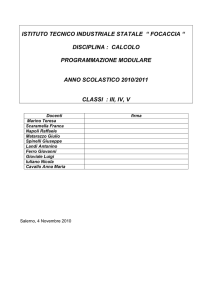 CALCOLO PROGRAMMODULARE2010-11