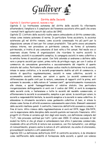 (Riassunti di diritto commerciale. Diritto delle società)