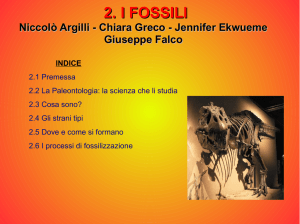 fossili - itec2marconimodena