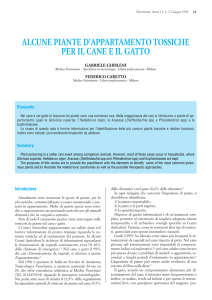 alcune piante d`appartamento tossiche per il cane e il