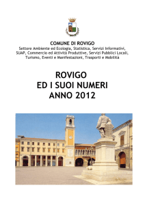 Rovigo e i suoi numeri - edizione 2012