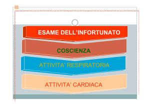 Diapositiva 1 - Istituto Comprensivo Don Milani Crotone