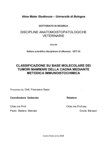 classificazione su base molecolare dei tumori mammari della cagna