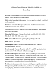 Chimica-Fisica dei sistemi biologici. Crediti 6, ore C. La Rosa