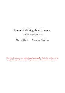 Esercizi di Algebra Lineare