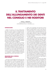 IL TRATTAMENTO DELL`ALLUNGAMENTO DEI DENTI NEL