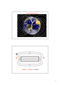 N S Campo magnetico terrestre MAGNETE NATURALE (CALAMITA)